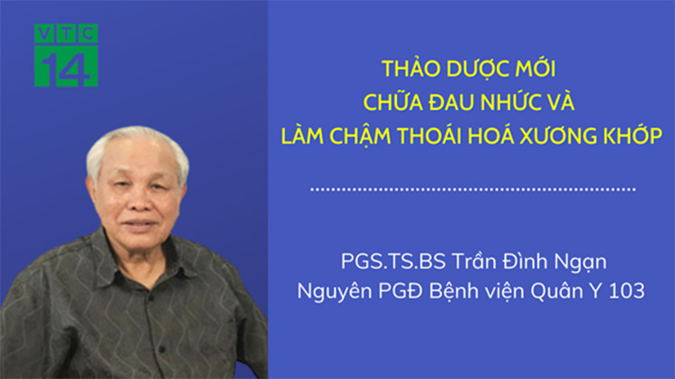 Đánh giá của PGS.TS Trần Đình Ngạn 1